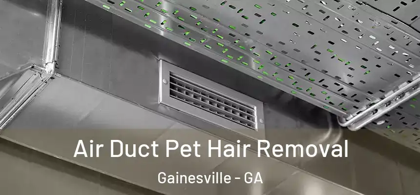  Air Duct Pet Hair Removal Gainesville - GA