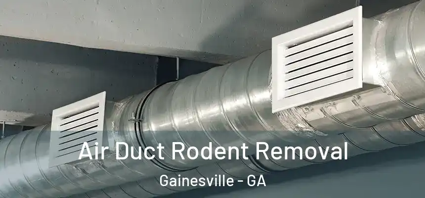  Air Duct Rodent Removal Gainesville - GA