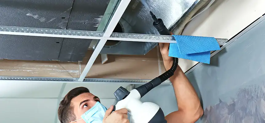 Our Air Duct Rodent Removal Services in Gainesville, GA