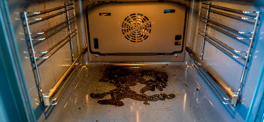 Our Dryer Vent Mold Cleaning Services in Gainesville, GA