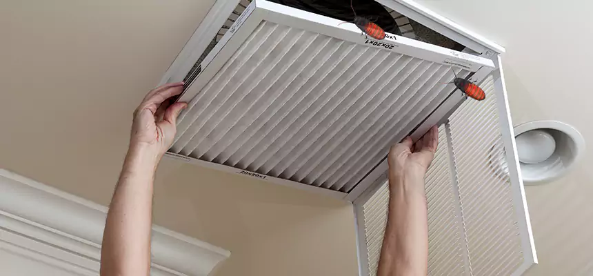 Our Insect Removal from Air Ducts Services in Gainesville, GA