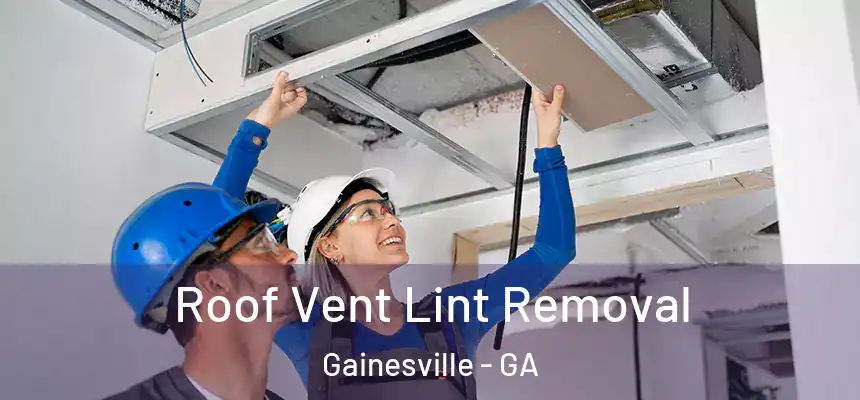  Roof Vent Lint Removal Gainesville - GA
