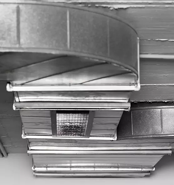 Professional Air Duct Pet Hair Removal in Gainesville, GA