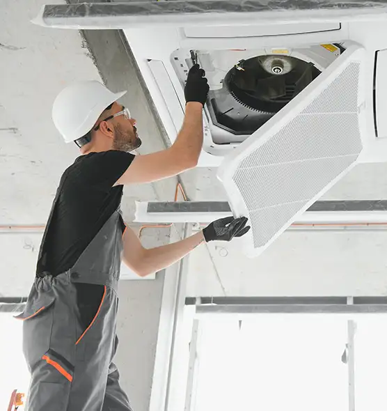 About Air Duct Rodent Removal in Gainesville, GA