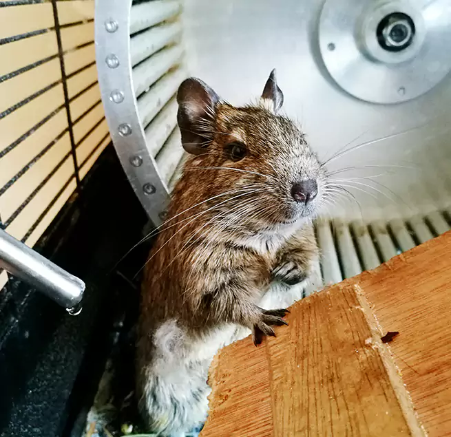 Why Homeowners & Businesses Trust Us Gainesville, GA