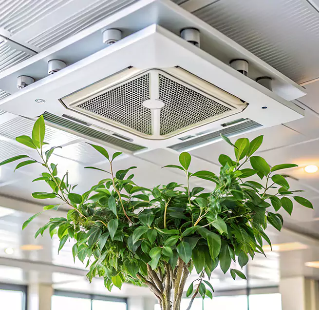 Why Homeowners & Businesses Trust Us in Gainesville, GA